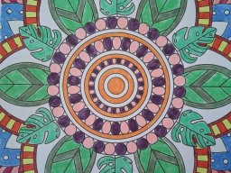 whatsapp image 2025-12-28 at 11.21.43